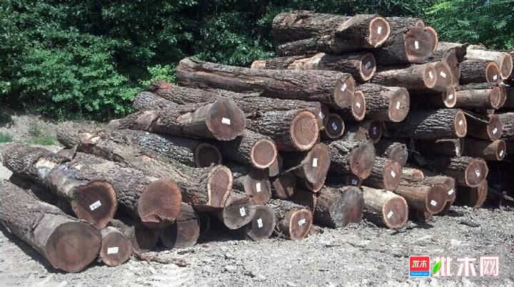 批木网anywood.com