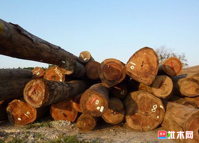 批木网anywood.com