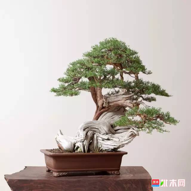 批木网 anywood.com