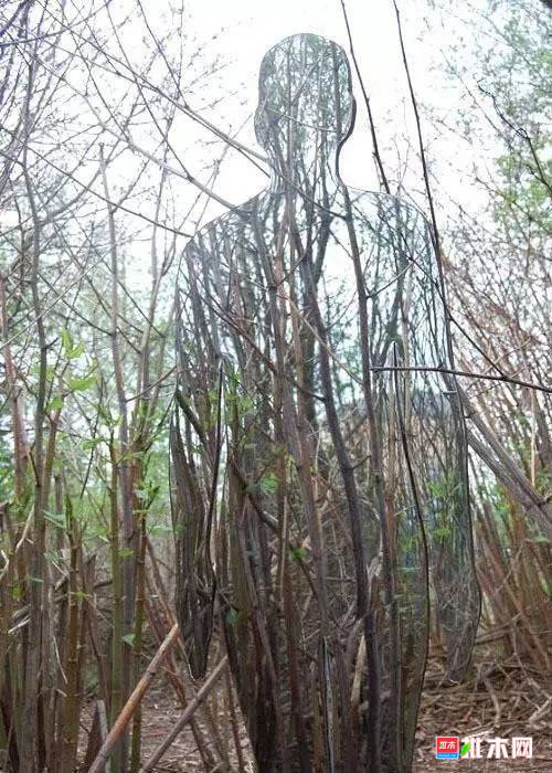 批木网 anywood.com