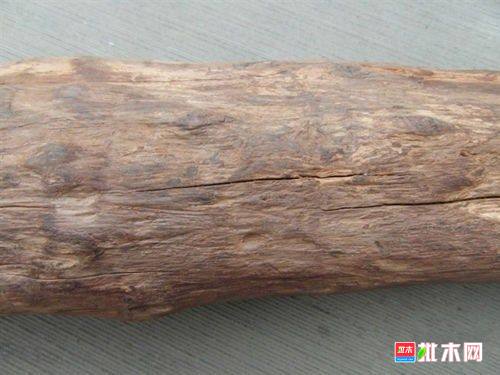 批木网 anywood.com