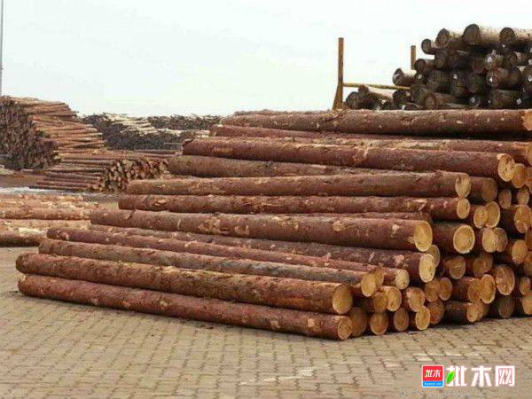 批木网 anywood.com