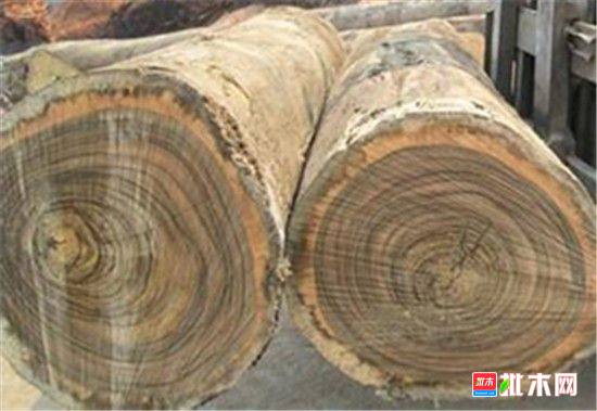 批木网 anywood.com