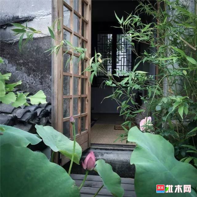 批木网 anywood.com