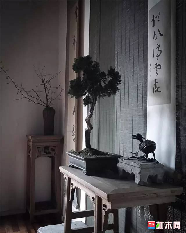 批木网 anywood.com
