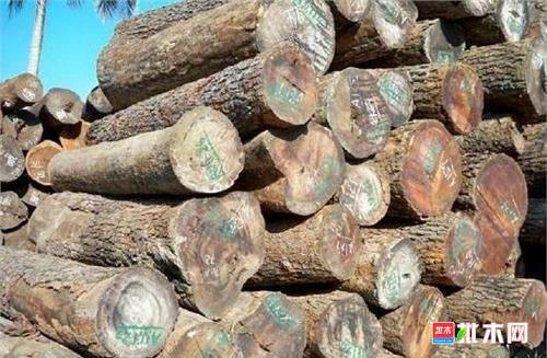 批木网 anywood.com