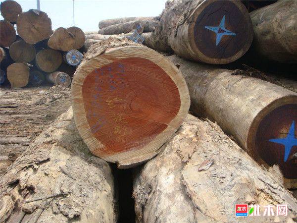 批木网 anywood.com