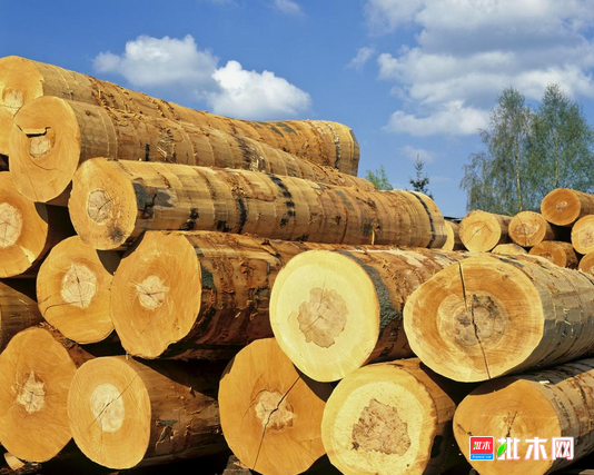 批木网 anywood.com