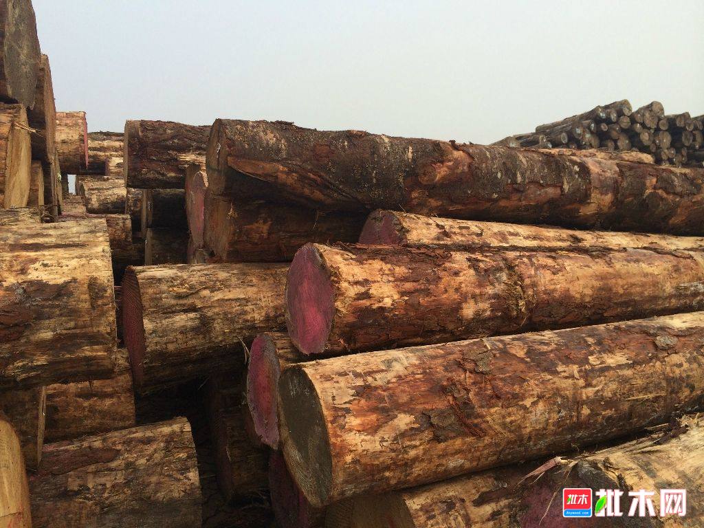批木网anywood.com