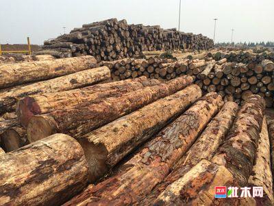 批木网anywood.com