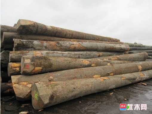 批木网 anywood.com