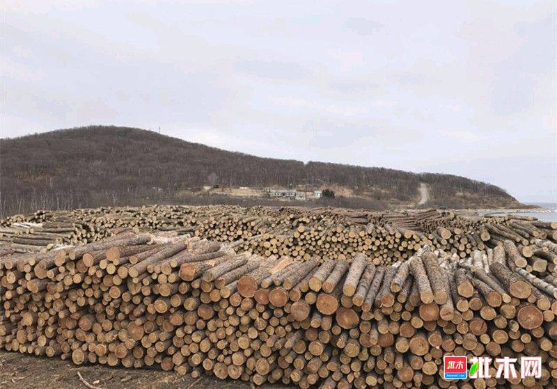 批木网anywood.com