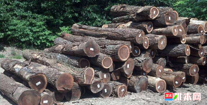 批木网 anywood.com