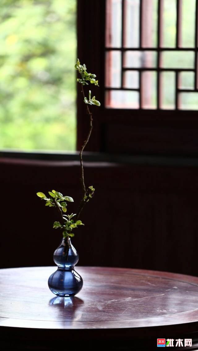 批木网 anywood.com