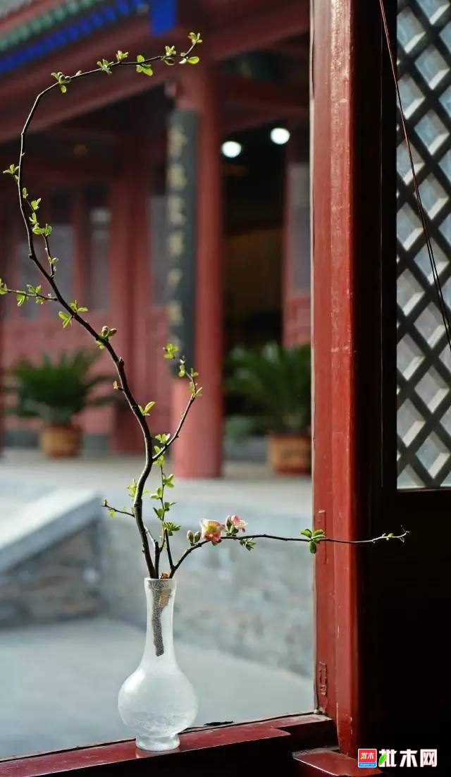 批木网 anywood.com