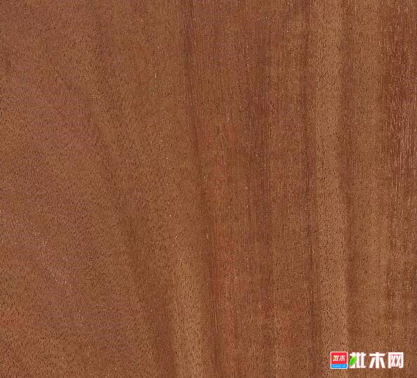 批木网 anywood.com