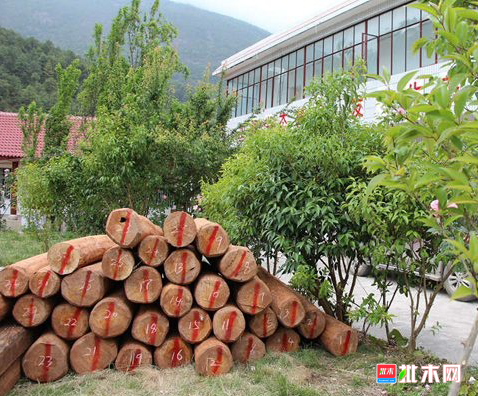 批木网 anywood.com