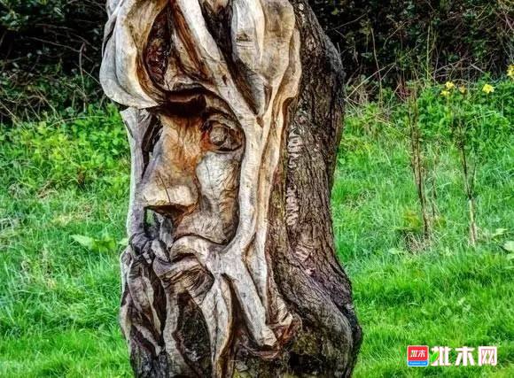 批木网 anywood.com