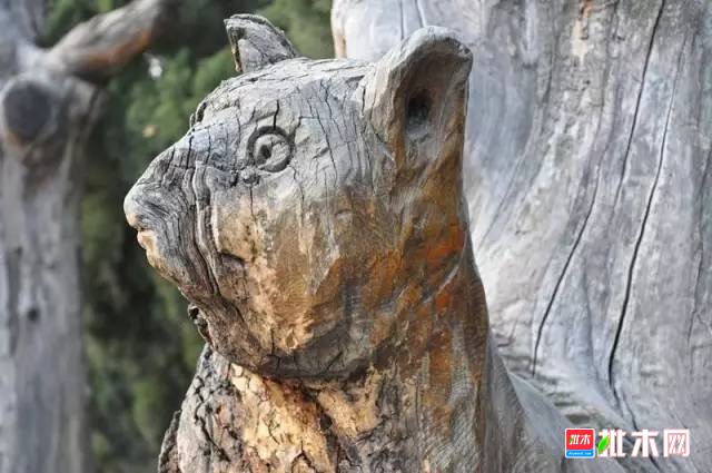 批木网 anywood.com