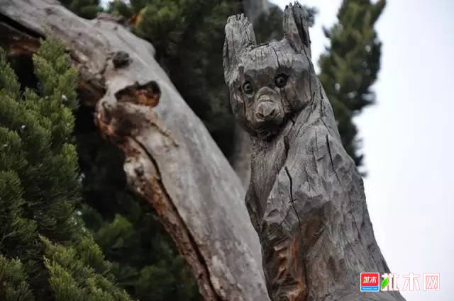 批木网 anywood.com