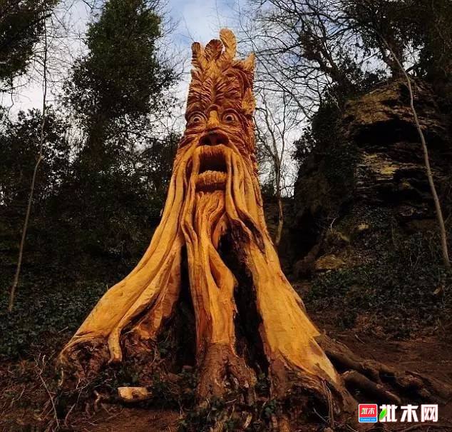 批木网 anywood.com