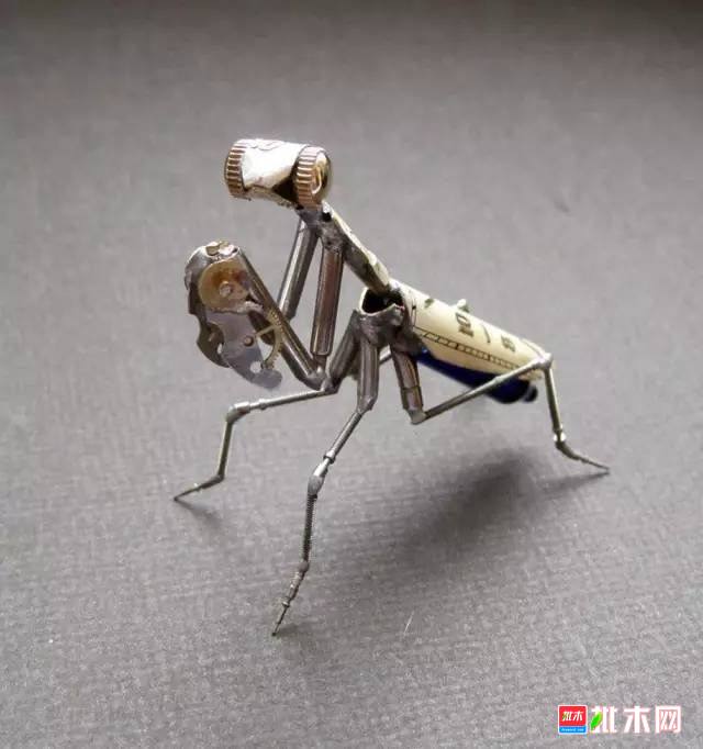 批木网 anywood.com