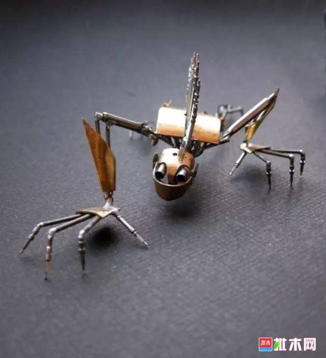 批木网 anywood.com