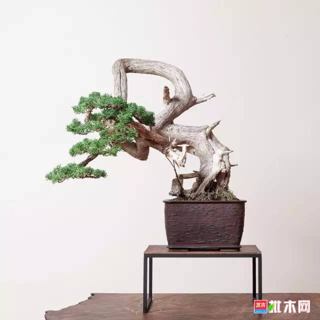 批木网 anywood.com