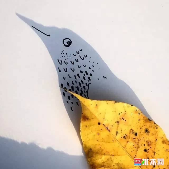 批木网 anywood.com