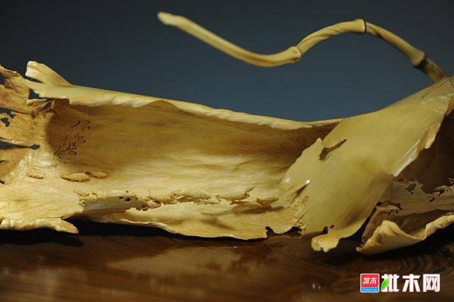 批木网 anywood.com