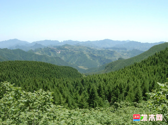 批木网 anywood.com