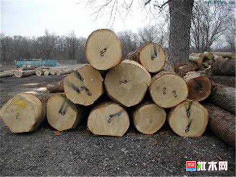 批木网 anywood.com