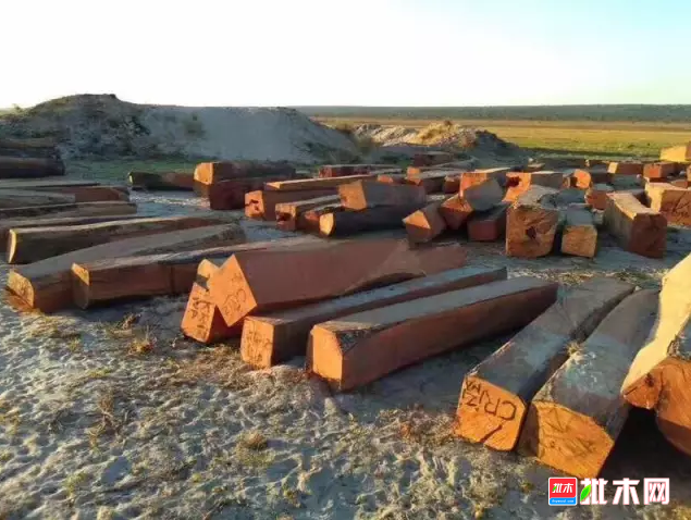 批木网anywood.com