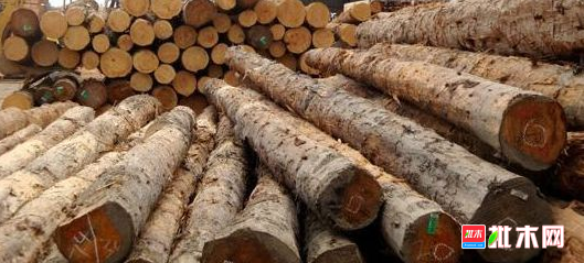 批木网 anywood.com