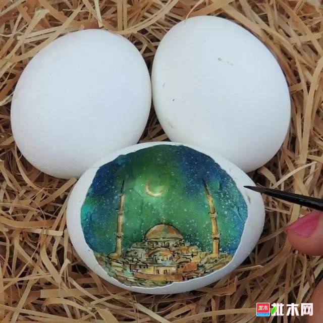 批木网 anywood.com