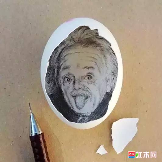 批木网 anywood.com