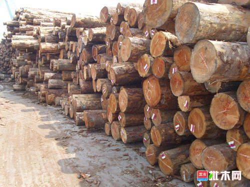 批木网  anywood.com