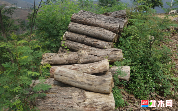批木网 anywood.com