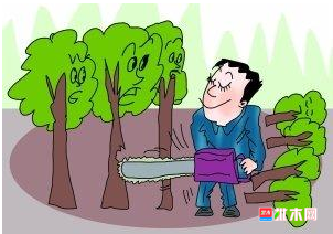 批木网 anywood.com
