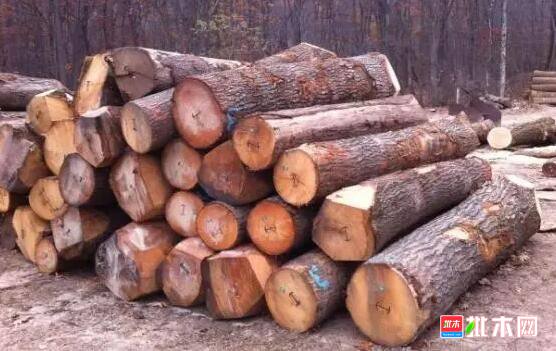 批木网 anywood.com