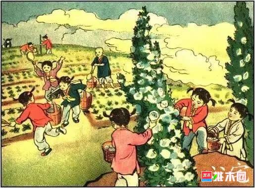 批木网 anywood.com