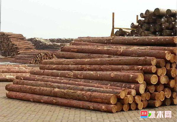 批木网 anywood.com