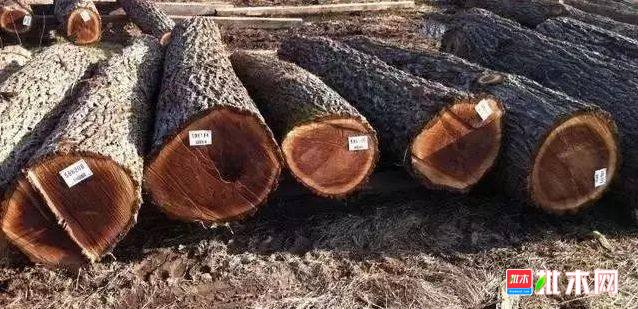 批木网 anywood.com