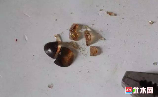 批木网 anywood.com