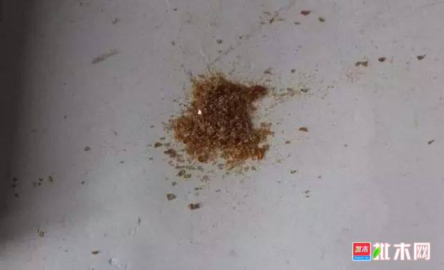 批木网 anywood.com