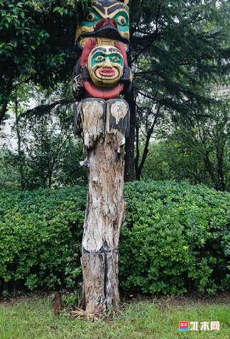 批木网 anywood.com