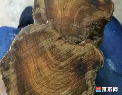 批木网 anywood.com