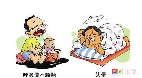 批木网 anywood.com