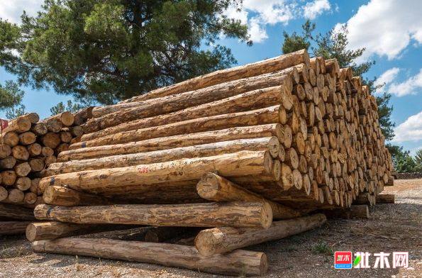 批木网 anywood.com