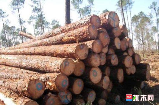 批木网 anywood.com